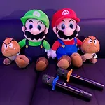 Super Mario World Karaoke Bbq Mount Austin 16 Pax